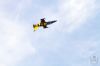 ciaf-2016_0094.jpg