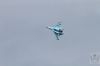 ciaf-2016_0096s.jpg