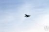 ciaf-2016_0096u.jpg