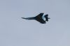 ciaf-2016_0096x.jpg