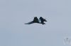 ciaf-2016_0096y.jpg