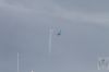 ciaf-2016_0096zg.jpg