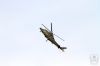 ciaf-2016_0106c.jpg