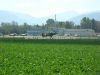 dny_nato-2010_0010a.jpg