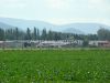 dny_nato-2010_0012.jpg
