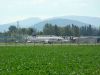 dny_nato-2010_0012a.jpg