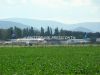 dny_nato-2010_0012b.jpg