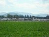 dny_nato-2010_0012c.jpg