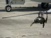 dny_nato-2011_0016a.jpg