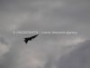 dny_nato-2013_0047e.jpg