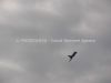 dny_nato-2013_0047f.jpg