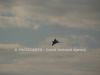 dny_nato-2013_0048.jpg