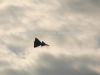 dny_nato-2013_0048a.jpg