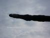 dny_nato-2014_0007h.jpg