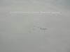 dny_nato-2014_0010.jpg