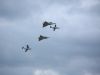 dny_nato-2015_0057e.jpg