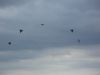dny_nato-2015_0057h.jpg