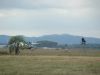 dny_nato-2015_0062a.jpg