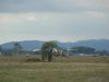 dny_nato-2015_0062b.jpg