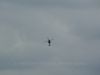 dny_nato-2015_0064b.jpg