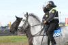 dny_nato-2016_0100a.jpg