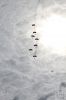 dny_nato-2016_0112.jpg