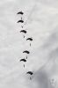 dny_nato-2016_0112a.jpg