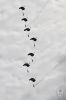 dny_nato-2016_0112b.jpg