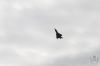 dny_nato-2016_0114.jpg