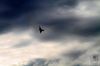 dny_nato-2016_0114f.jpg