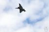 dny_nato-2016_0114j.jpg