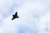 dny_nato-2016_0114p.jpg