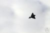 dny_nato-2016_0114r.jpg