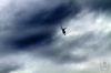 dny_nato-2016_0114s.jpg