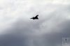dny_nato-2016_0114t.jpg