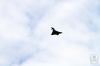 dny_nato-2016_0114z.jpg