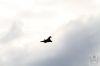 dny_nato-2016_0114zh.jpg
