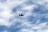 dny_nato-2016_0116.jpg