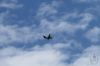 dny_nato-2016_0116a.jpg