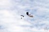 dny_nato-2016_0118f.jpg