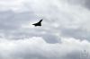 dny_nato-2016_0121j.jpg