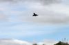 dny_nato-2016_0121m.jpg