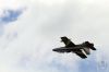 dny_nato-2016_0125zzh.jpg