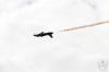 dny_nato-2016_0125zzz.jpg