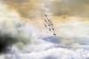 dny_nato-2016_0125zzzh.jpg