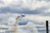 dny_nato-2016_0125zzzi.jpg