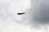 dny_nato-2016_0132m.jpg