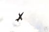 dny_nato-2016_0134l.jpg