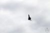 dny_nato-2016_0136.jpg