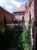 sovinec_0016.jpg